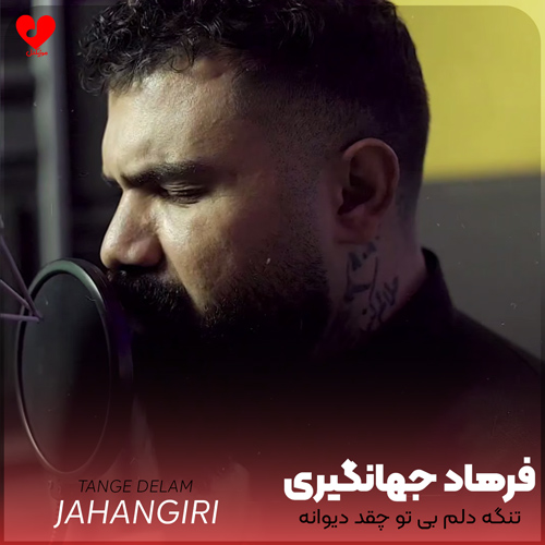 دانلود آهنگ تنگه دلم بی تو چقد دیوانه میشم از فرهاد جهانگیری